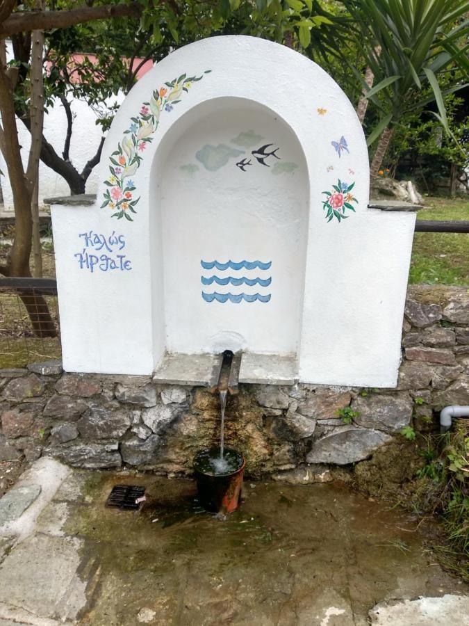 Flower House Хорефто Экстерьер фото